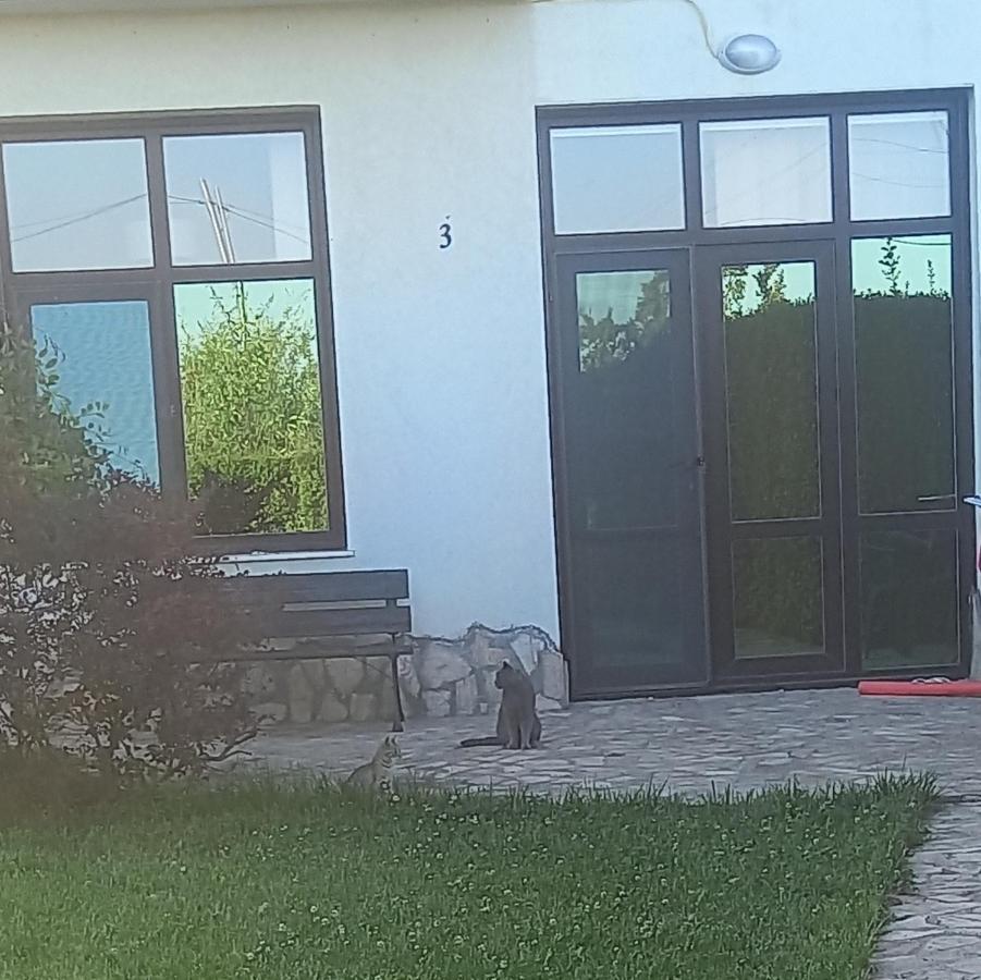 Villa Ketli Apartment Bliznaţi Exterior foto
